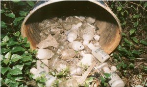 Mercury wastes, including empty mercury containers, dumped in the shola forests behind the factory.